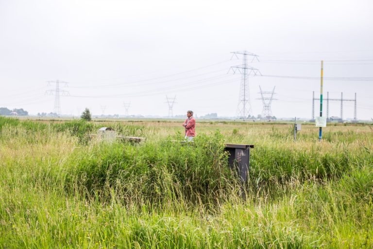 man in a field